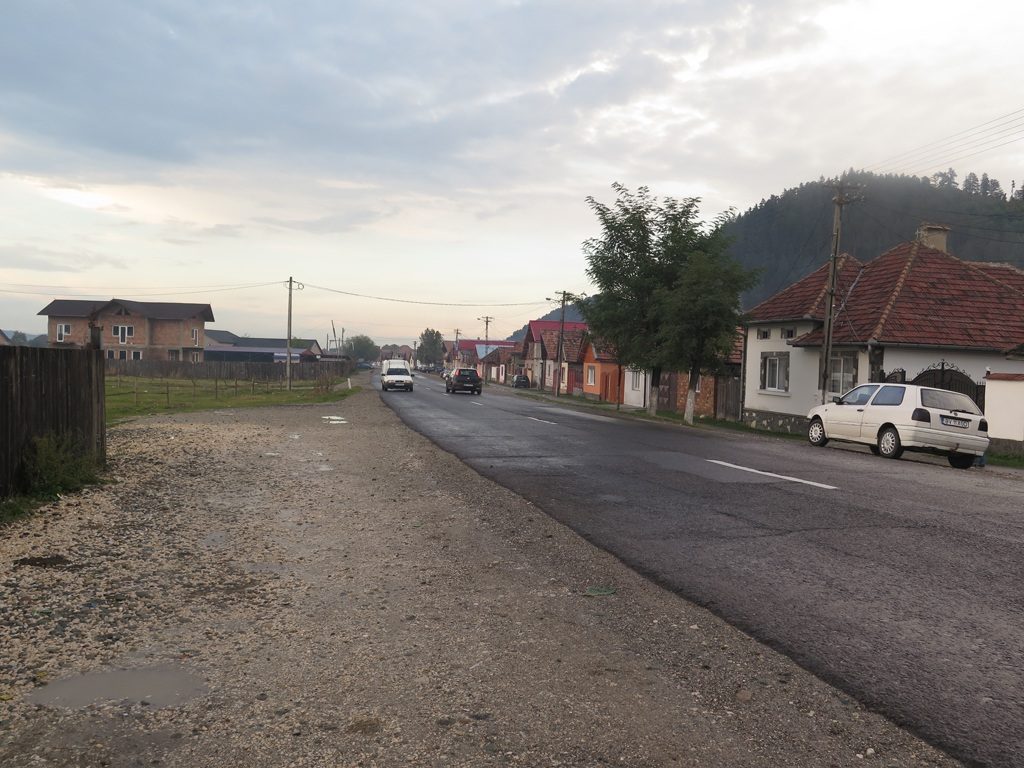Brasov area